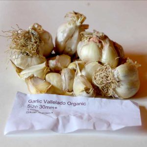 03 Vallelado garlic