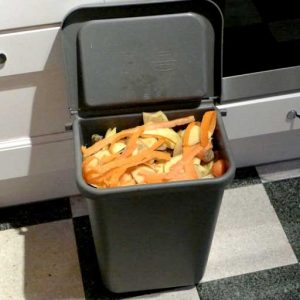 Kitchen compost bin