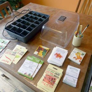 Seed selection