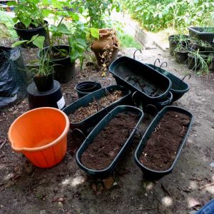 Soil from pots and trays