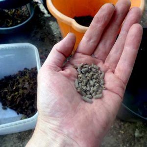 Dried animal manure pellets