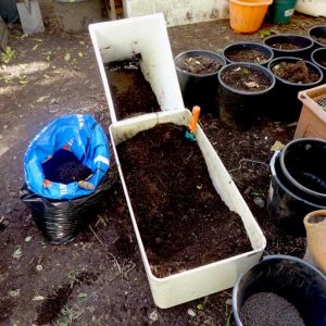Mixing with potting soil