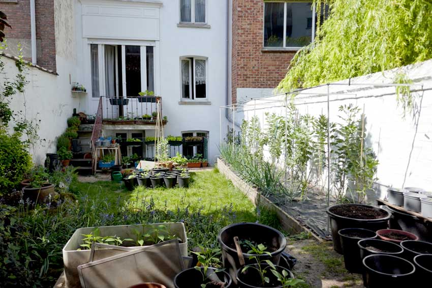 View of the garden looking at the house