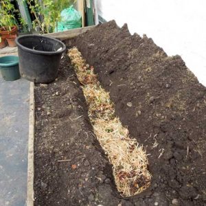 Trench composting