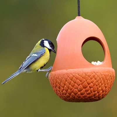 Acorn bird feeder