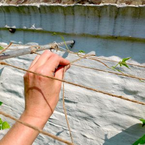 Creating an overhead net