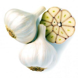 Garlic Flavour