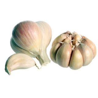 Garlic Vallelado