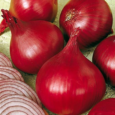 Onion (Organic) Seeds Red Baron