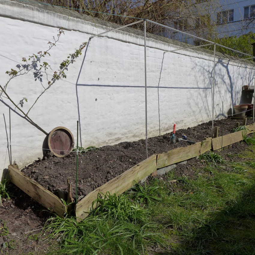 The old raised bed