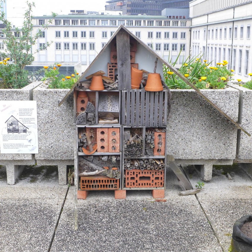 Bug hotel