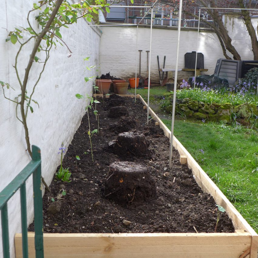 Feed for raised bed