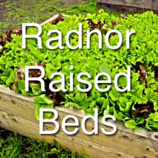 Radnor Raised Beds
