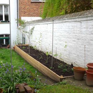 Raised bed layout
