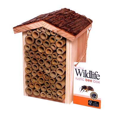Rustic Bee Box