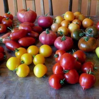 September Harvest time featured