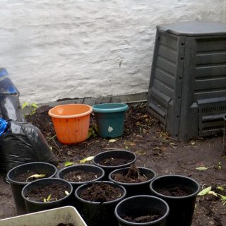 Summers End Compost Featured