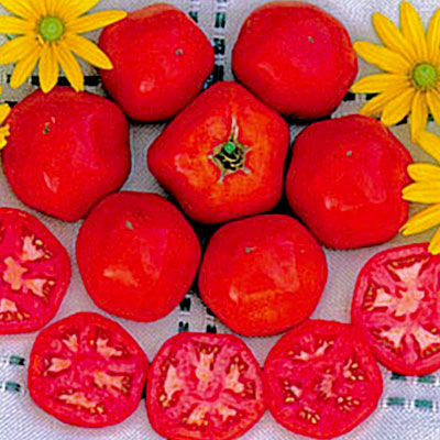 Tomato Druzba
