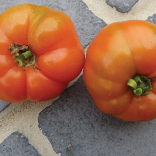 Tomato Marmande