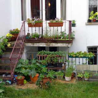 Balcony Planting