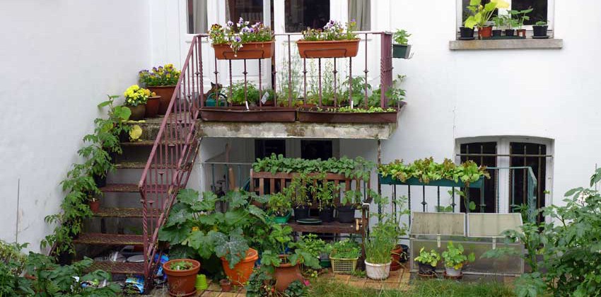 Balcony Planting