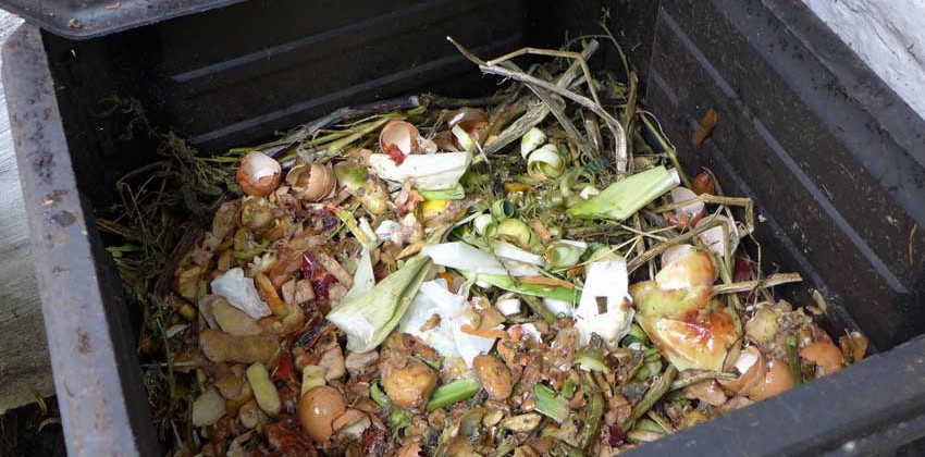 Composting bin