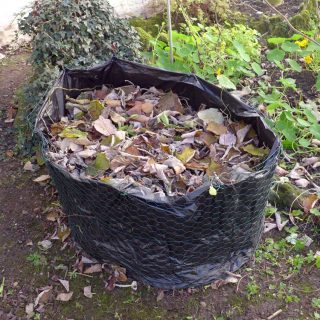 Leaf bin