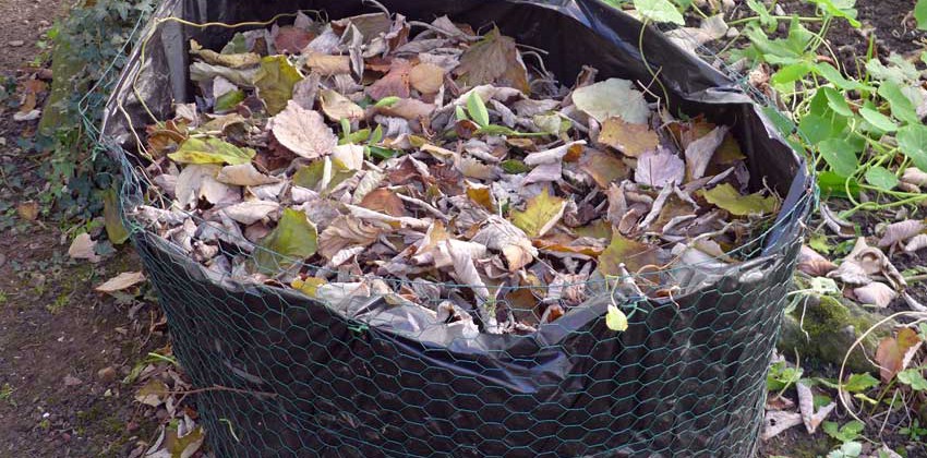 Leaf bin
