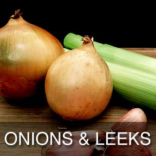 Onions and Leeks