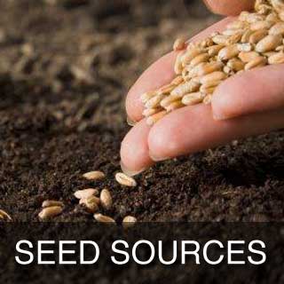 Seed Sources