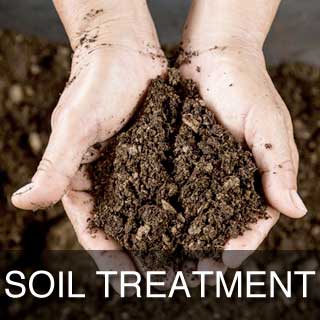 Soil Treatment