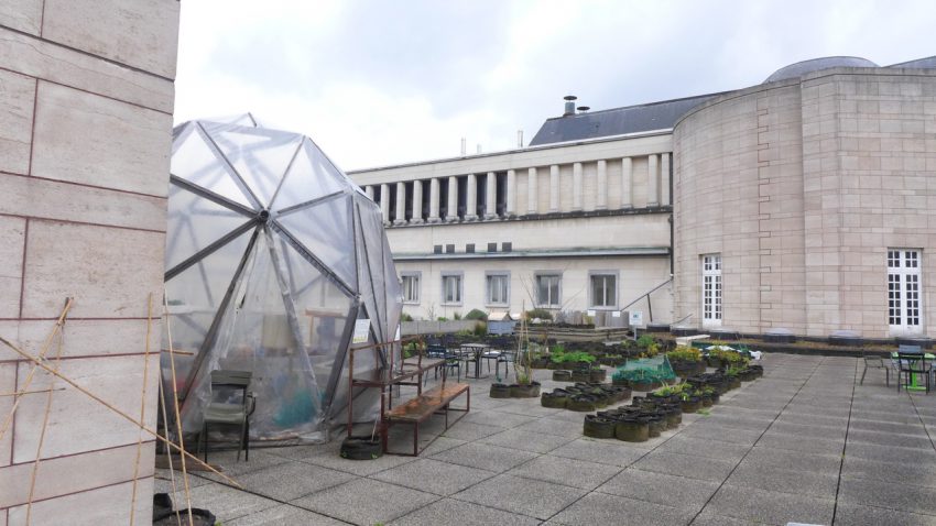 Royal Library of Belgium roof garden