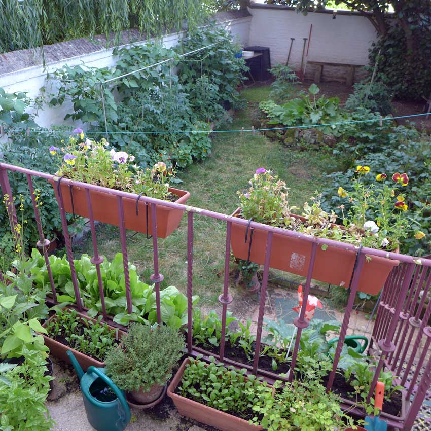 Container Gardening Balcony