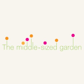 The Middle Sized Garden