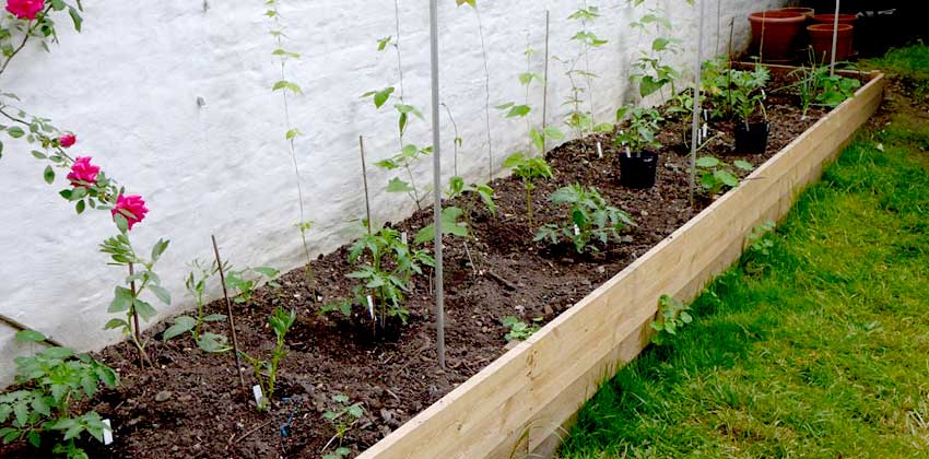 Using a raised bed